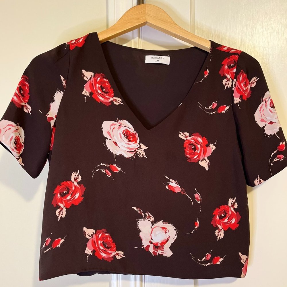 Babaton Randy Cropped Blouse (XS) | Aritzia US